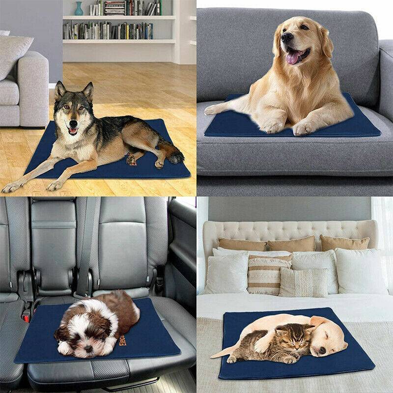 Waterproof Electric Pet Heating Pad – Chew-Resistant Heated Mat for Cats & Dogs