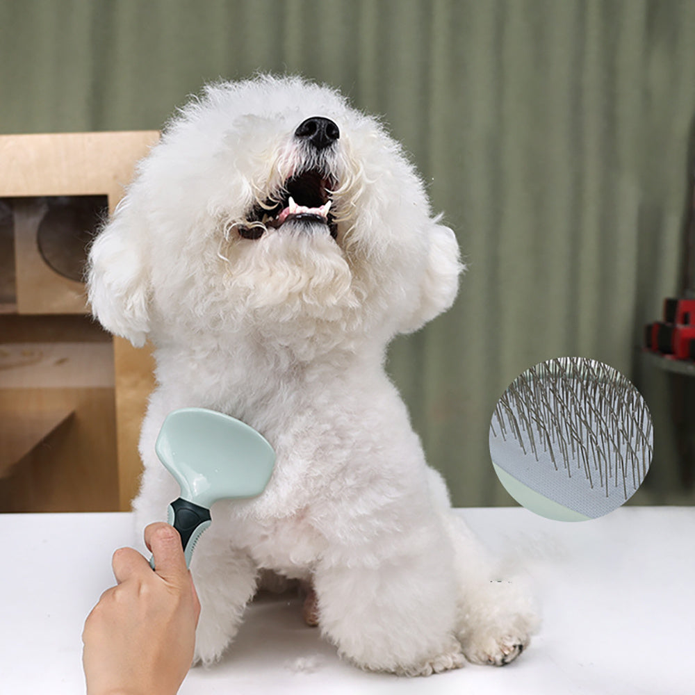 Professional Cordless Dog & Cat Grooming Clippers – Low Noise Trimmer
