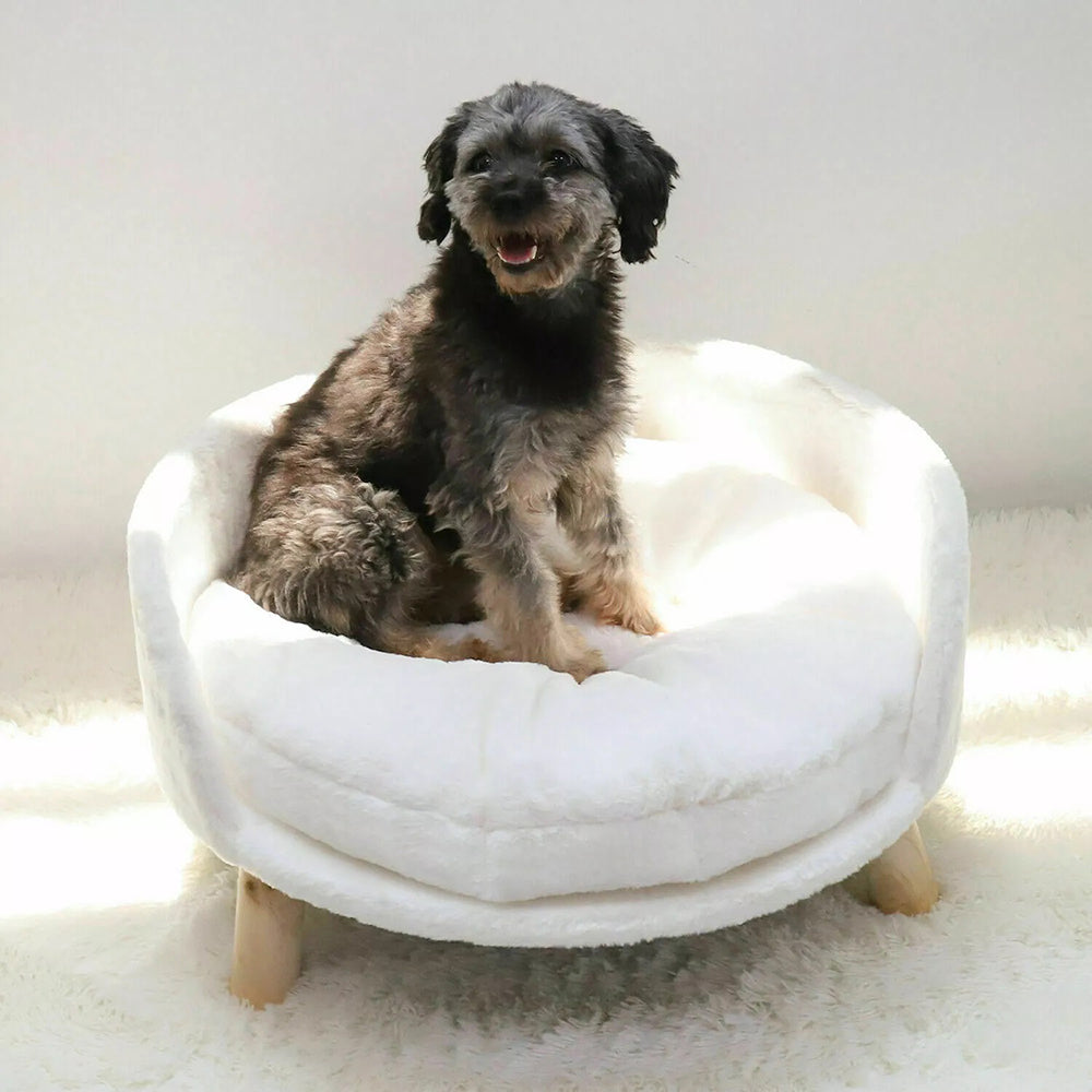 Pet Sofa Bed Raised Cat Chair with Removable Cushion